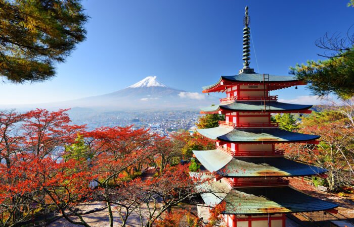 shutterstock_147744218